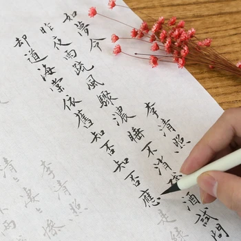 Тетрадка за практикуване на китайската калиграфия за начинаещи, стихотворение, тетрадка за възрастни, обичайният сценарий, тетрадка за калиграфия, 30 бр., тетрадка за калиграфия с четка